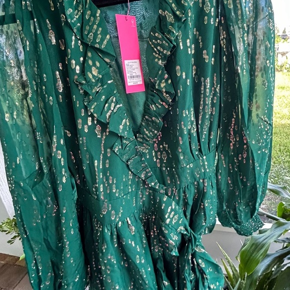 Lilly Pulitzer Emerald and Gold Long Sleeve Dress - Picture 6 of 9